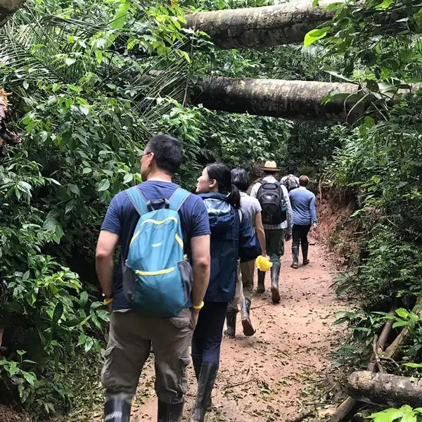 caminata-introductoria-selva Hiking / walk - Image 1