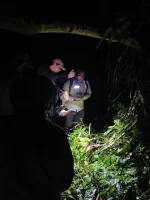 Night walk hike - Image 3