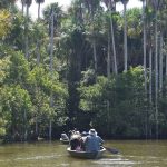 Lake Sandoval and Tambopata National Reserve